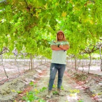 heber sairitupac ventura