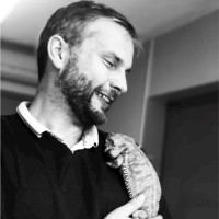 ludovic capocci