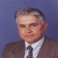 Raul M Mercado, Pe, Cfm