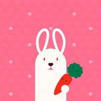 赵晓璐
