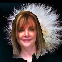 Karyl L Pulsinelli