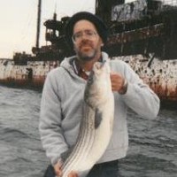 Steve Callis