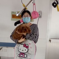 涂青青