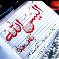 Muhammad Naeem Muhammad Saleem