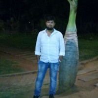 Syed Abbas Pasha
