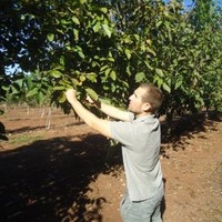 Jorge González Blanco