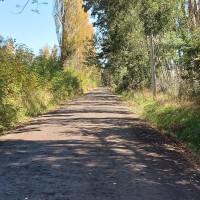 Manuel Salinas Marín