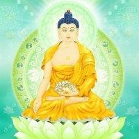 高丽琴