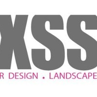 THE XSS