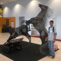 ALLAN VERGARA
