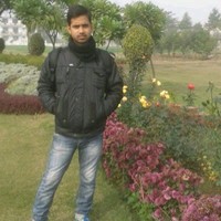 Robin Kaushik