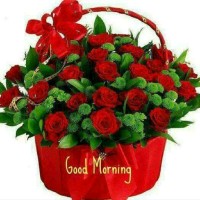 Saleha Mubashar