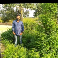 rajender rao masipeddi