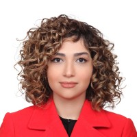 Nasim Amini