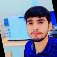 Majid Ameer