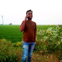 Sreehari Parangi