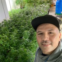 Anibal Oswaldo Linares