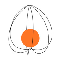 Physalis byTalis