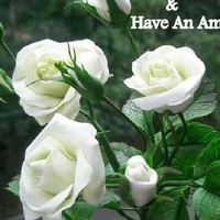 Sathis Kumar