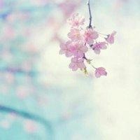 朱友宣