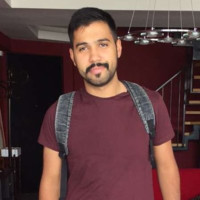 Faisal Alhulw