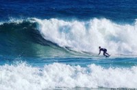 Caio Toaldo
