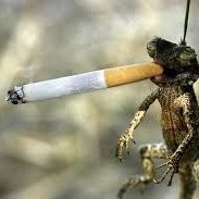 Dritan V Voloti