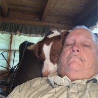 David A. Patterson, PhD