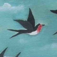 Maria José Alonso Corral