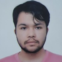Leandro Araujo Da Silva
