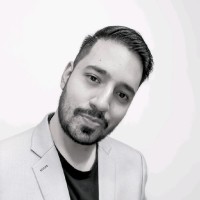 Hussnain Ali Abidi