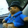 Pudsey Bob