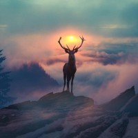 Andy Liu