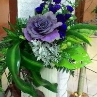 Grace R