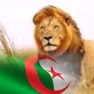 عبد المالك علالي