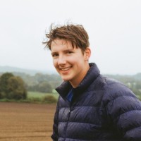 David Lovering