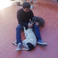 Andy Camacho