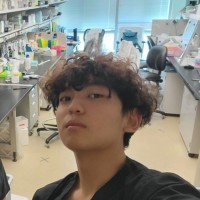 Joel Jeong