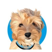 Rolo The Revtech Cavapoo