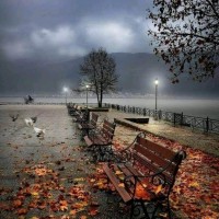 Zain Ali