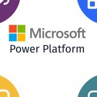 Dave Power Platform Consultant