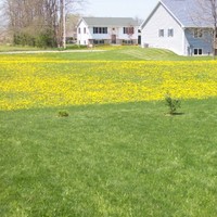 M&E Landscaping