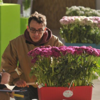 Alessandro Bisignano
