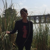 刘云伟