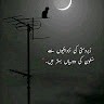 Izhar Ali