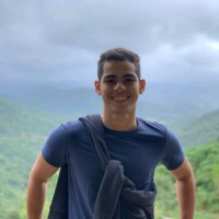 Davi Martins