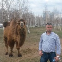 Mwhmet Dillioğlu