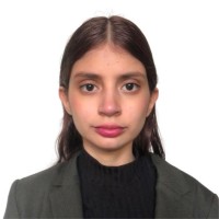 Luisa Fernanda Begazo Montesinos