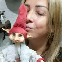O bosque