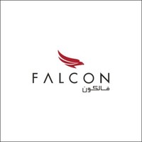 Falcon Aviation Services